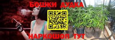 индика Лесосибирск