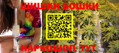 индика Лесосибирск