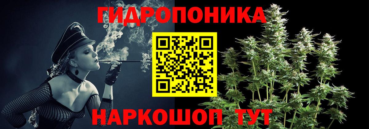 Бошки Шишки план Десногорск